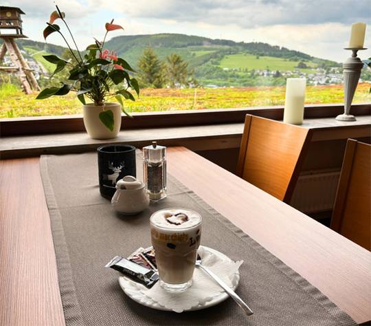Waldhotel Willingen