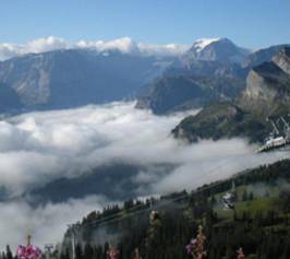 Bild zu Hotel Cristal