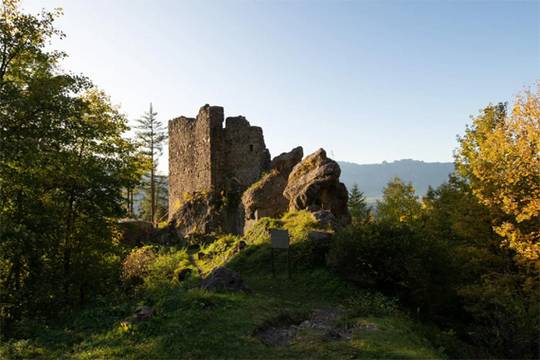 Burg Schalun (Wildschloss)