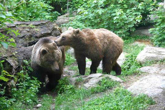 Alpenzoo Innsbruck