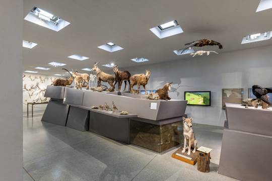 Liechtensteinisches LandesMuseum