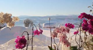 Pension Alpenblick
