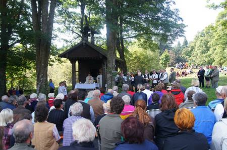 Sternwanderung zum Hirschenstein