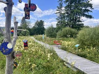 Fledermaus-Skulpturenweg und Fledermaus-Waldspielplatz