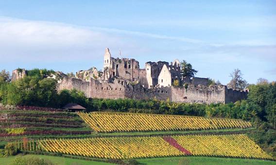 Bild zu Burgruine Hochburg bei Sexau besuchen