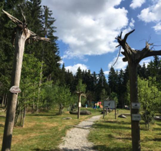 Fledermaus Skulpturenweg und Fledermaus Waldspielplatz