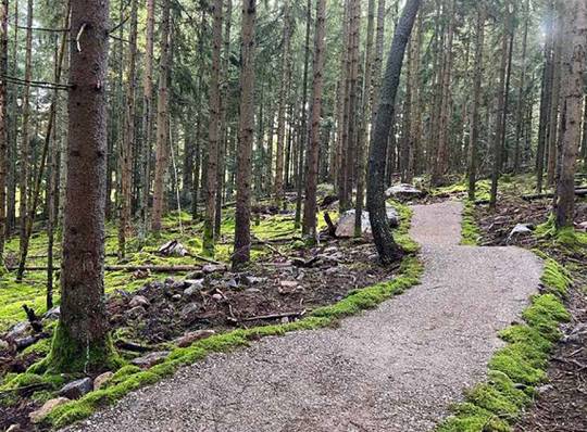 Trailpark Bischofsmais