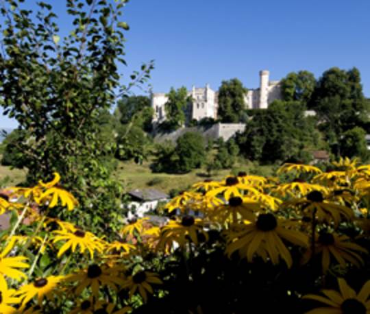 Schloss Wolfsberg