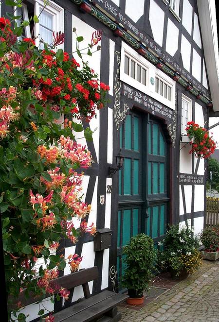 Rosendorf Assinghausen bei Olsberg