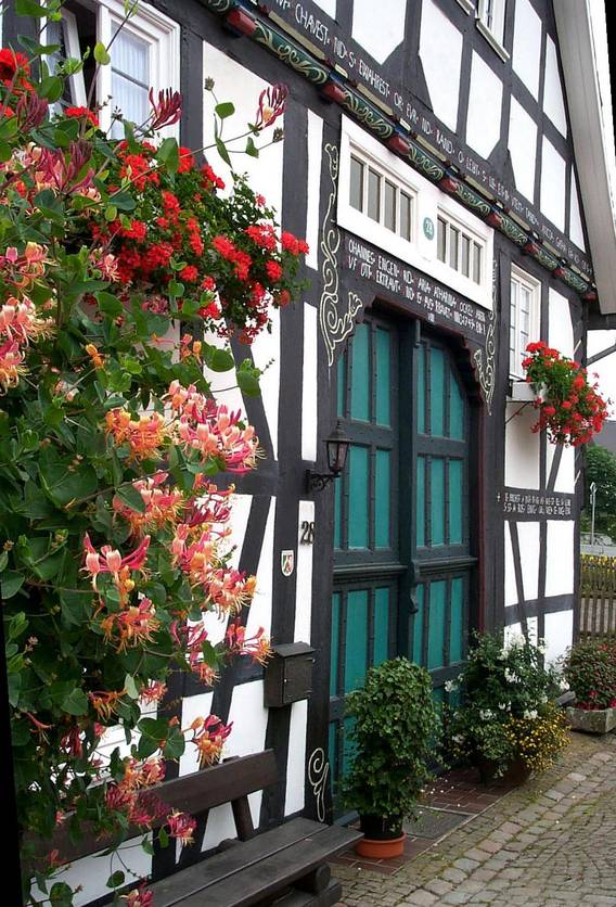 Bild zu Rosendorf Assinghausen bei Olsberg