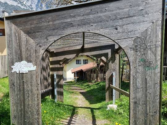 The SOUND OF MUSIC Trail