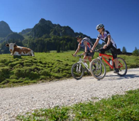 Bergener Hochfelln-Seilbahnen