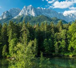 Bild zu Hotel am Badersee