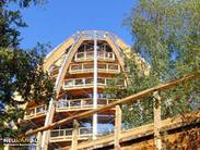 Bild zu Baumwipfelpfad