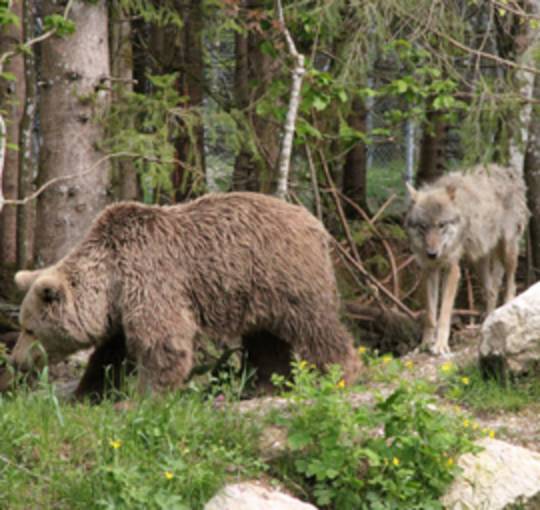 Cumberland Wildpark Grünau