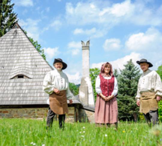 Museum Saigerhütte