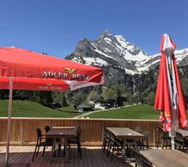 Bild zu Hotel Cristal
