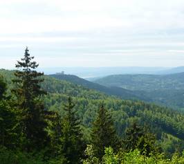 Bild zu Hotel Auerhahn am Rennsteig