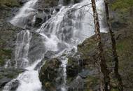 Bild zu Todtnauer Wasserfall