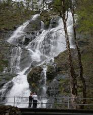 Bild zu Todtnauer Wasserfall