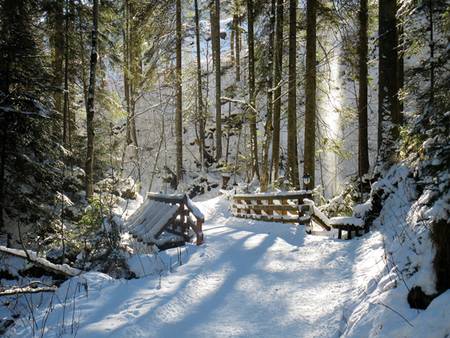 Laternenwanderung auf dem Bachweg