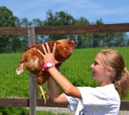 Bild zu Feriendorf Ponyhof