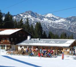 Bild zu Alpengasthof Götschenalm