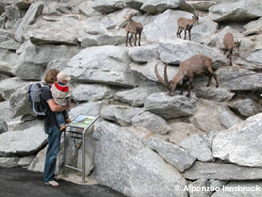 Alpenzoo Innsbruck