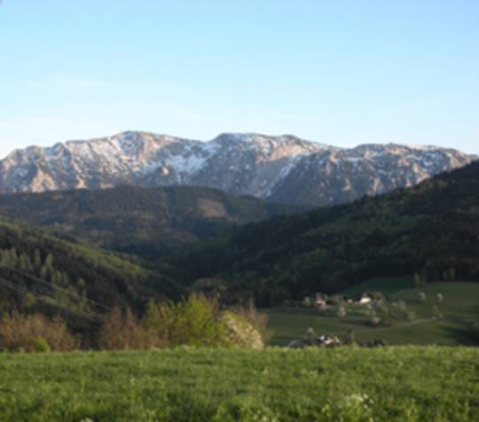 Gasthof Schöberingerhof