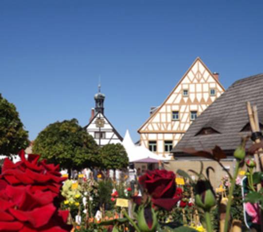 Museum Saigerhütte