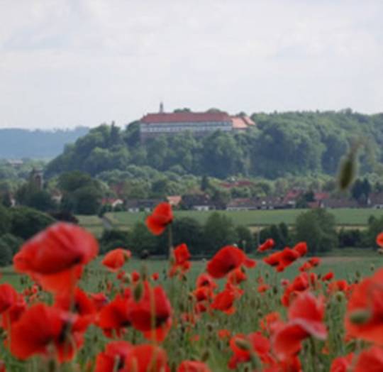 Welfenschloss Herzberg