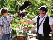 Bild zu Falknerei Galina