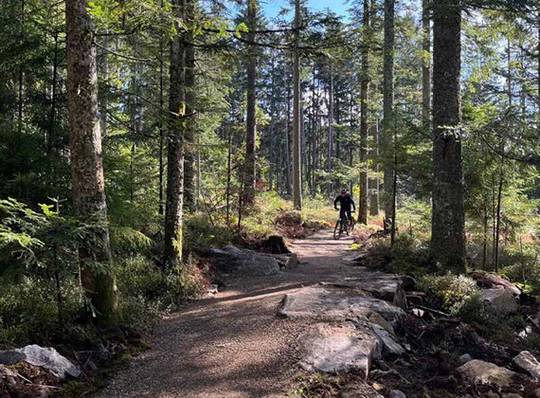 Trailpark Bischofsmais